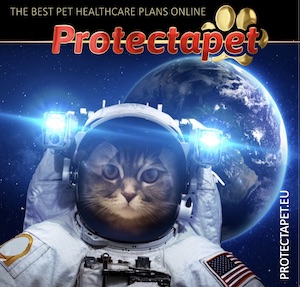 Cat in a space suit advertising the best online Pet healthcare plans by Protectapet